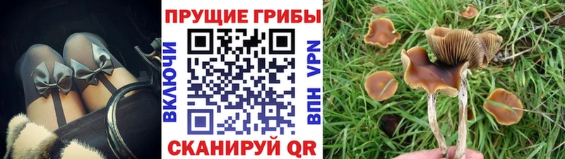 Галлюциногенные грибы ЛСД  как найти наркотики  Камешково 